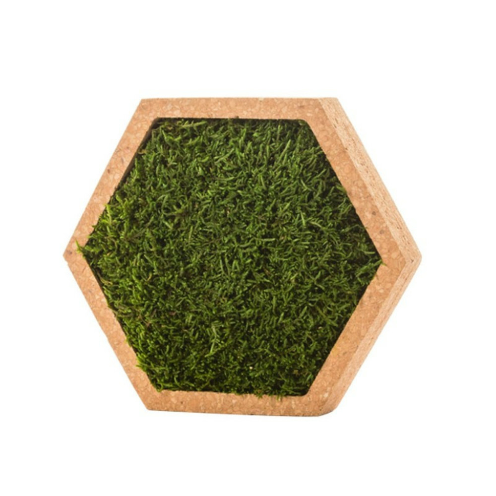Stab mousse hexagonal 16 x 16 cm