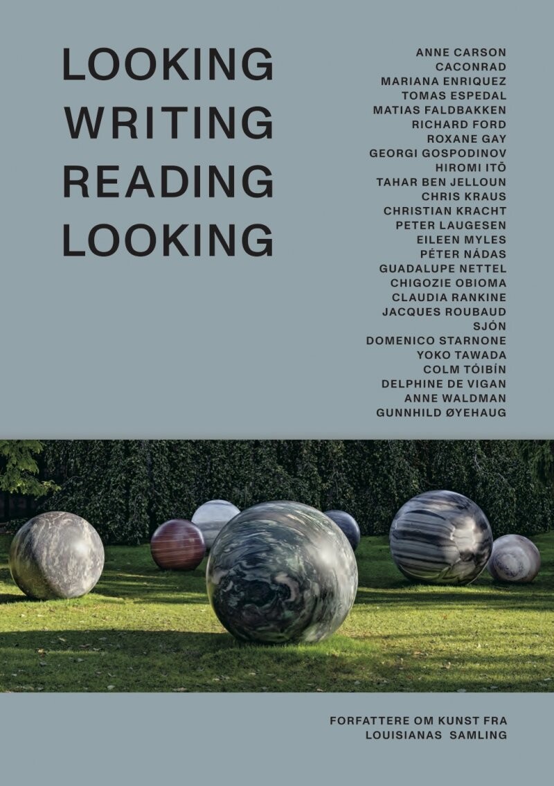 Looking Writing Reading Looking - Chris Kraus - Bog
