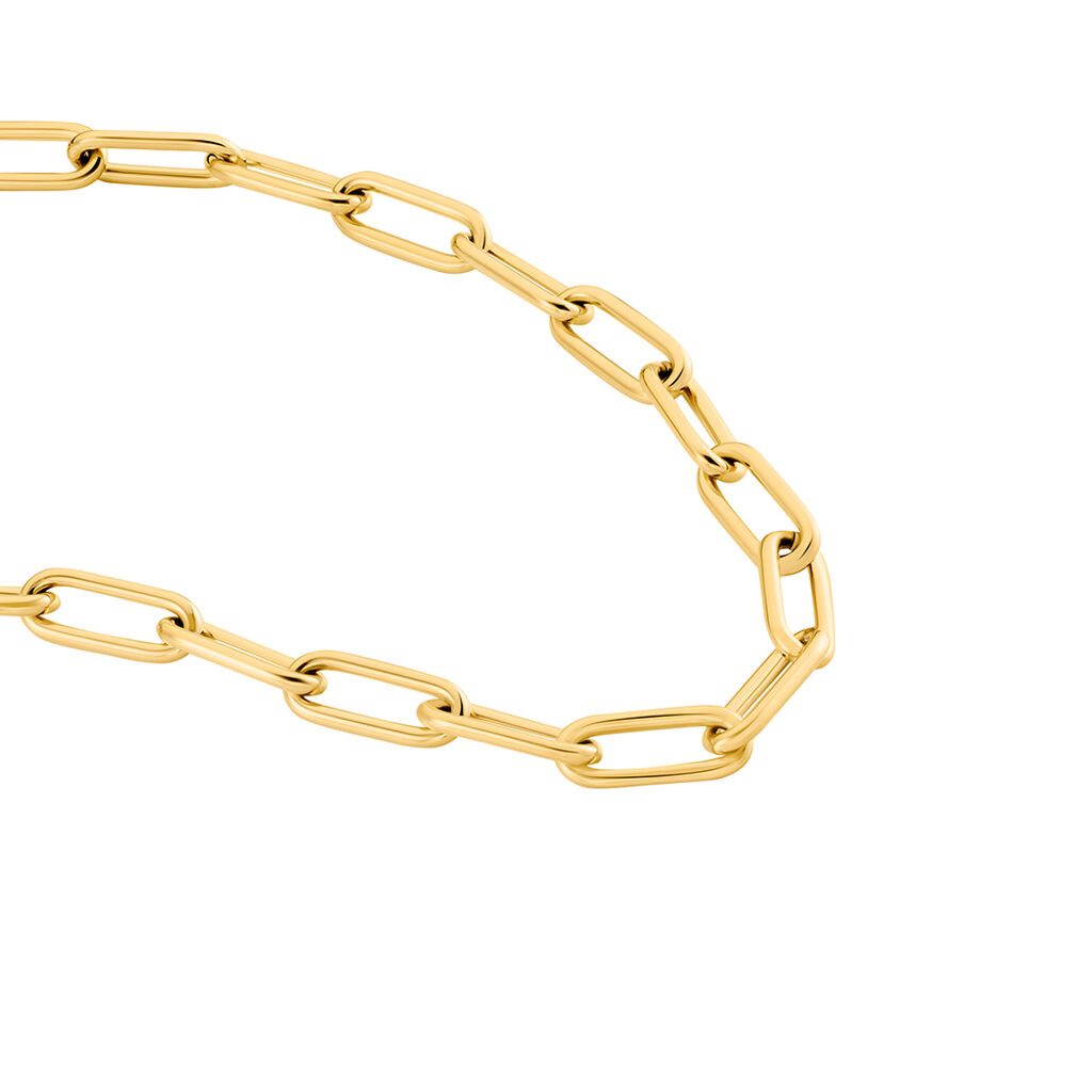 Collier Maille Urban Line Acier Doré