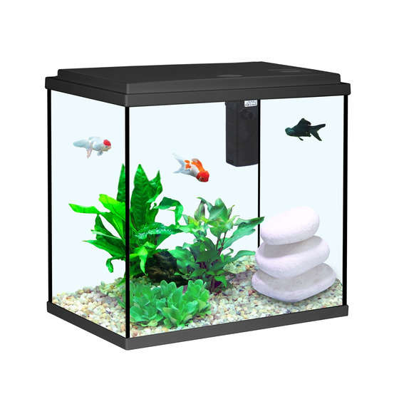 Aquarium Aqua Sarawak, noir - 25 litres
