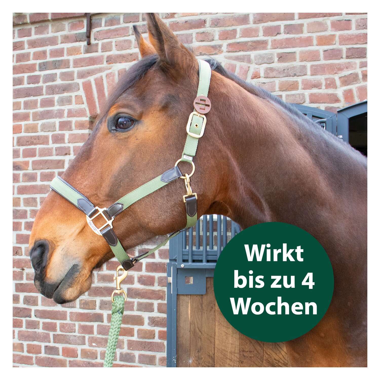 Equisept Fliegen- und Bremsenmedaillon für Pferde  - 2er Pack