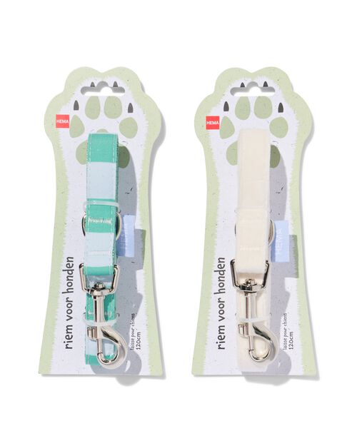 laisse chien 120 cm