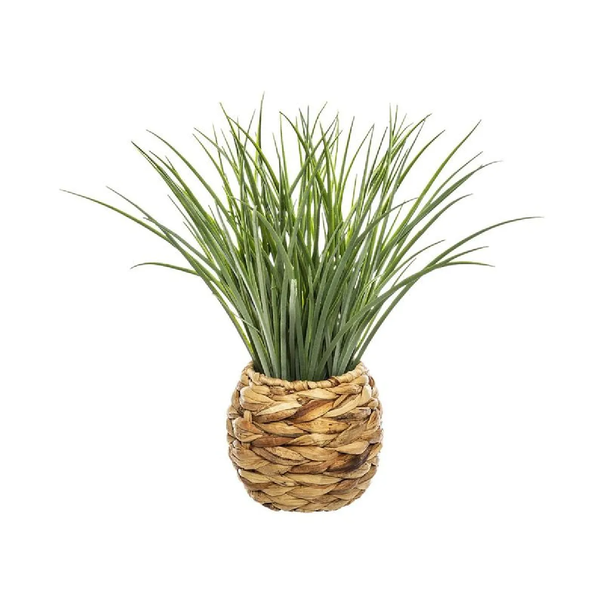 But Herbe pot tressé