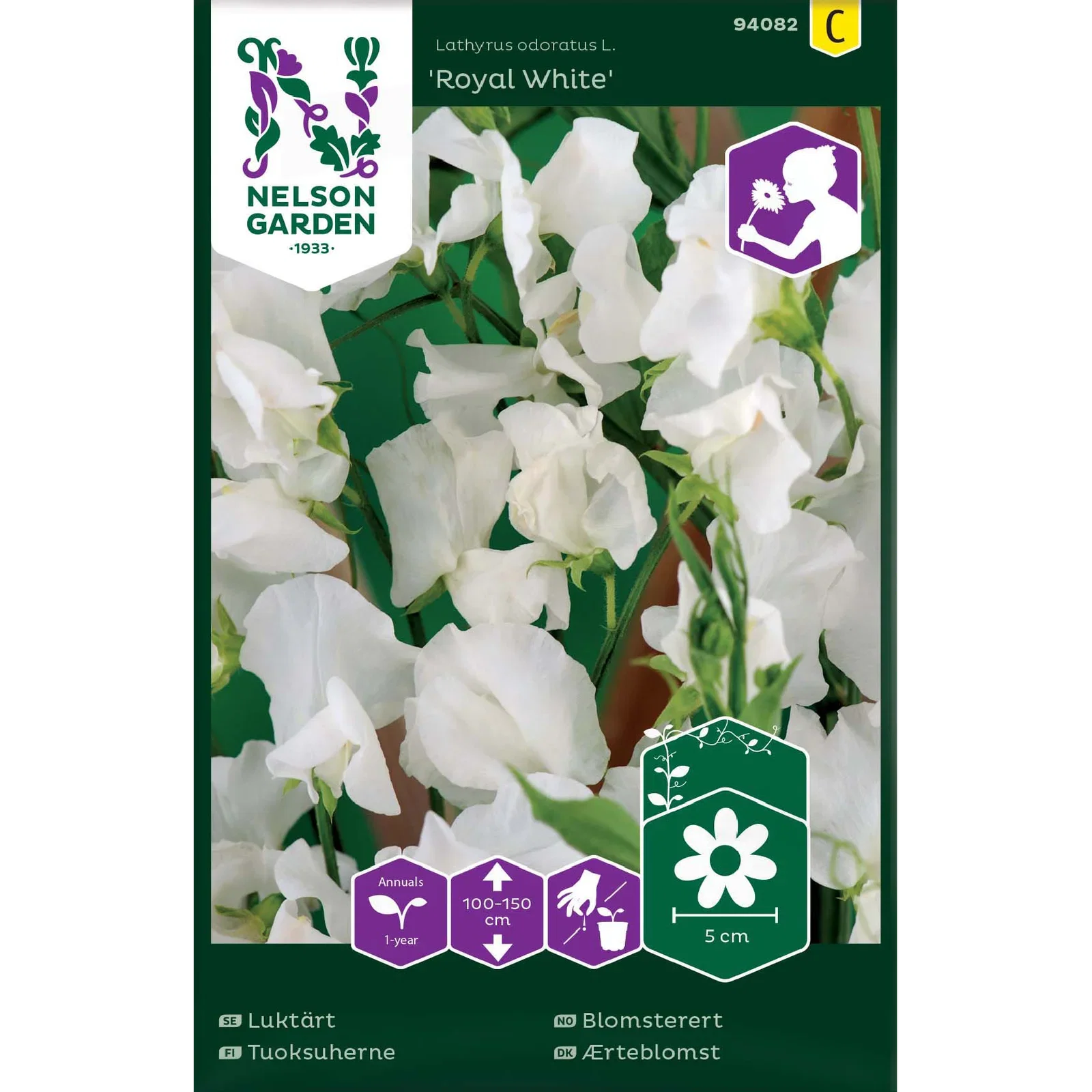 Lathyrus odoratus' Royal White' Blomsterert 'Royal White'
