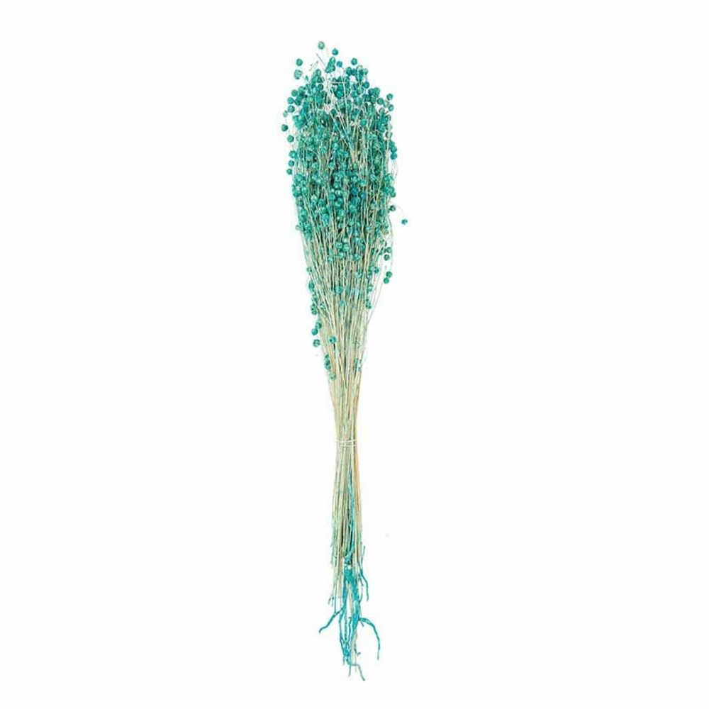 Lins séchés turquoise - 70 cm