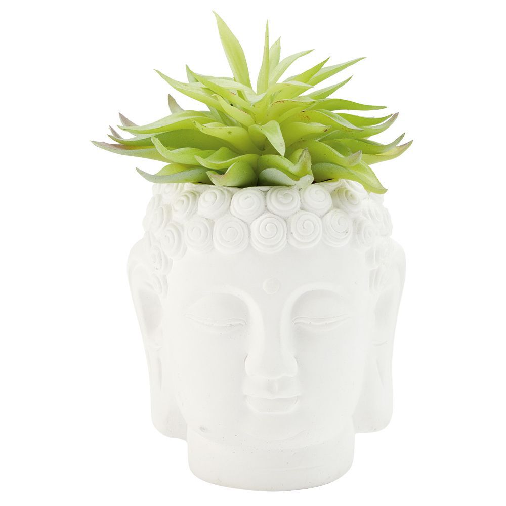 Tête Bouddha avec plante