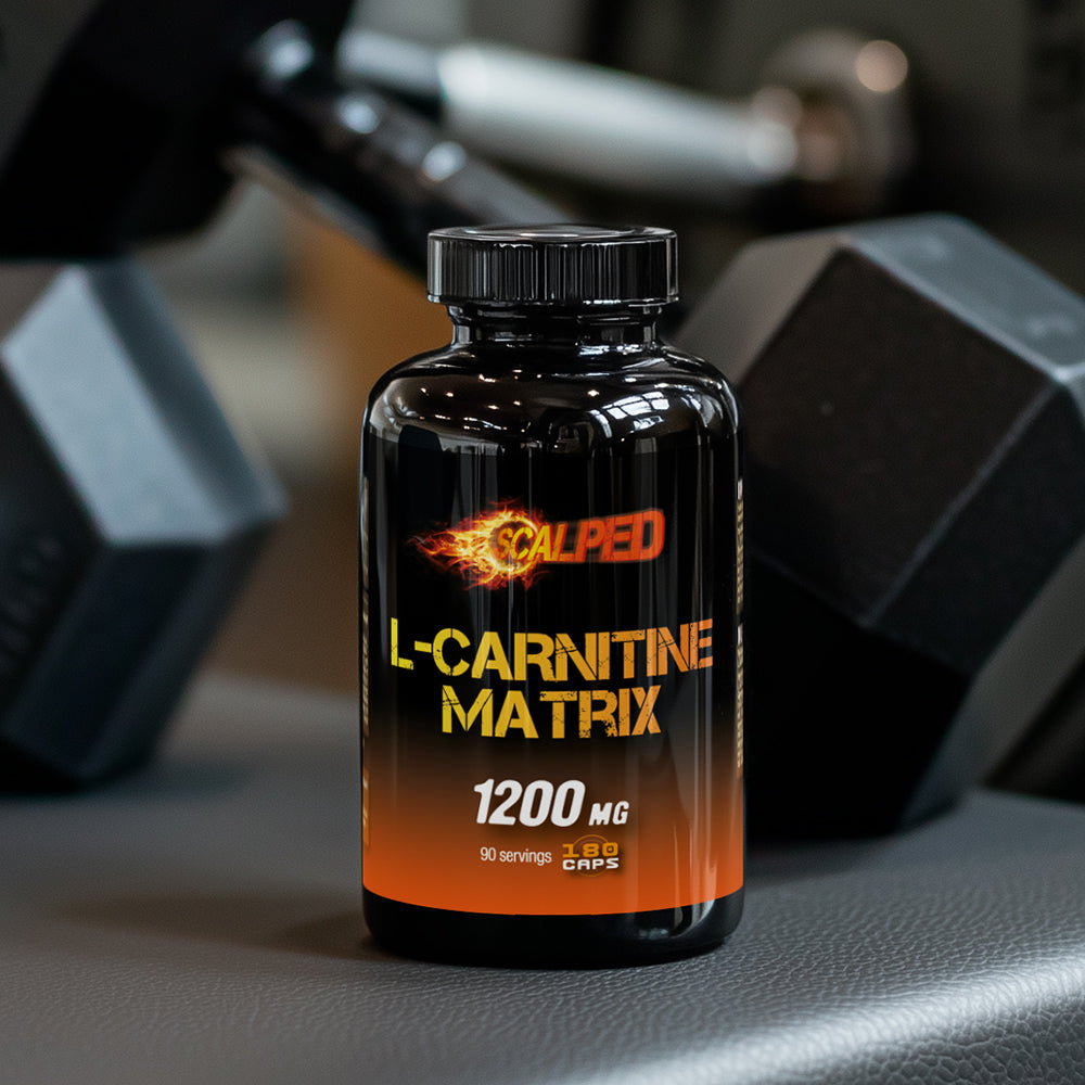 SCALPED L-Carnitine Matrix