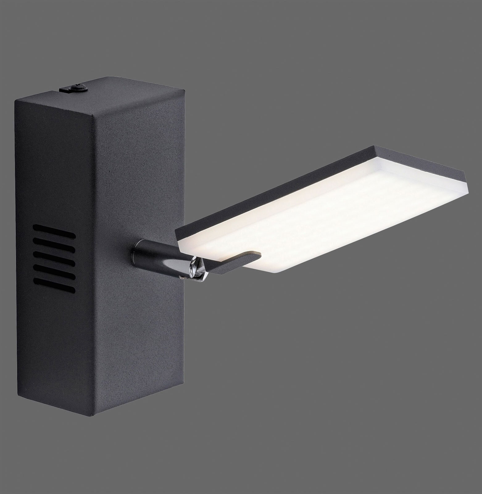 Paul Neuhaus LED Wandleuchte mit Spot PURE-MIRA schwarz