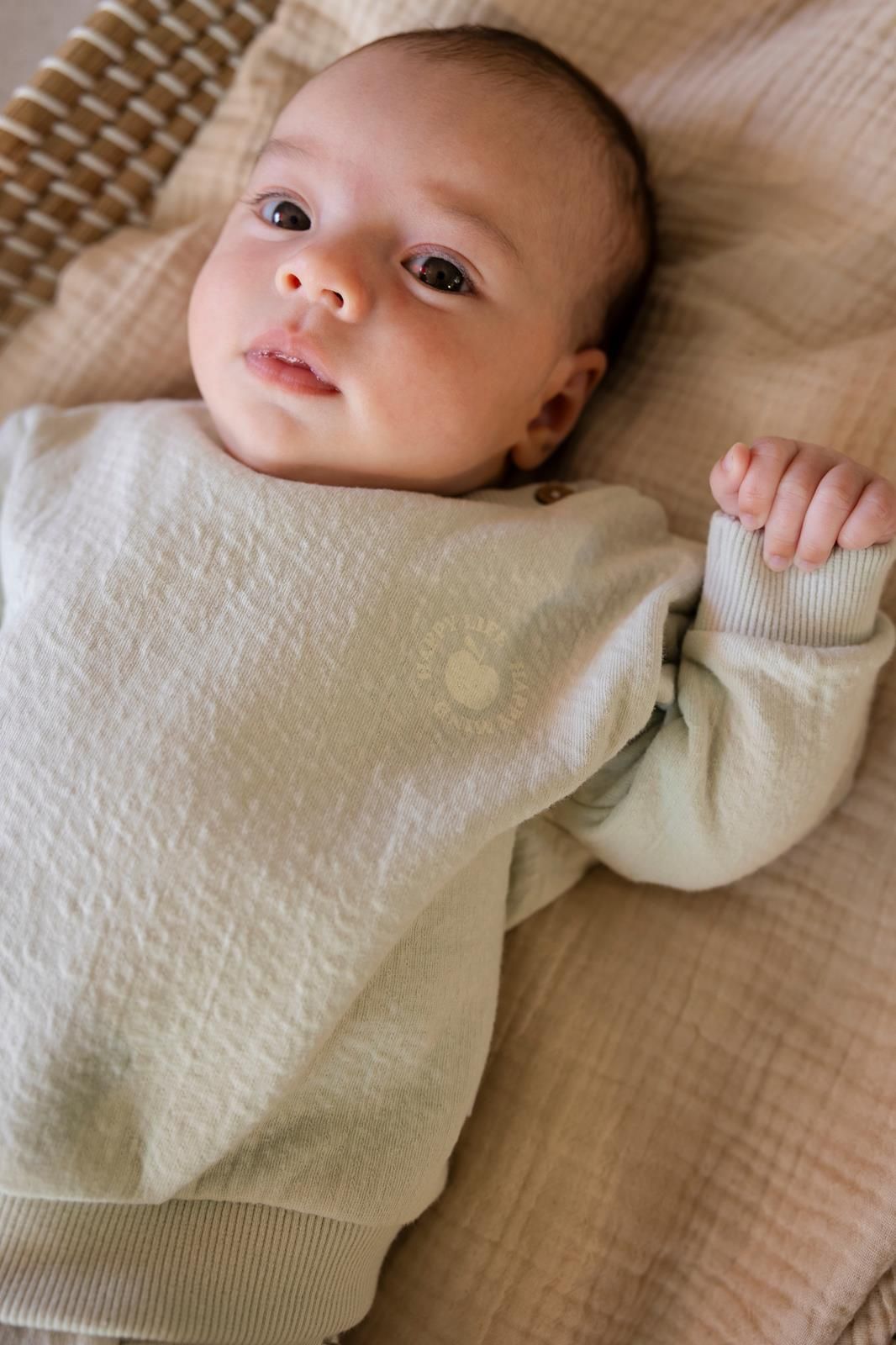 Noppies Newborn Sweater - Green Tint
