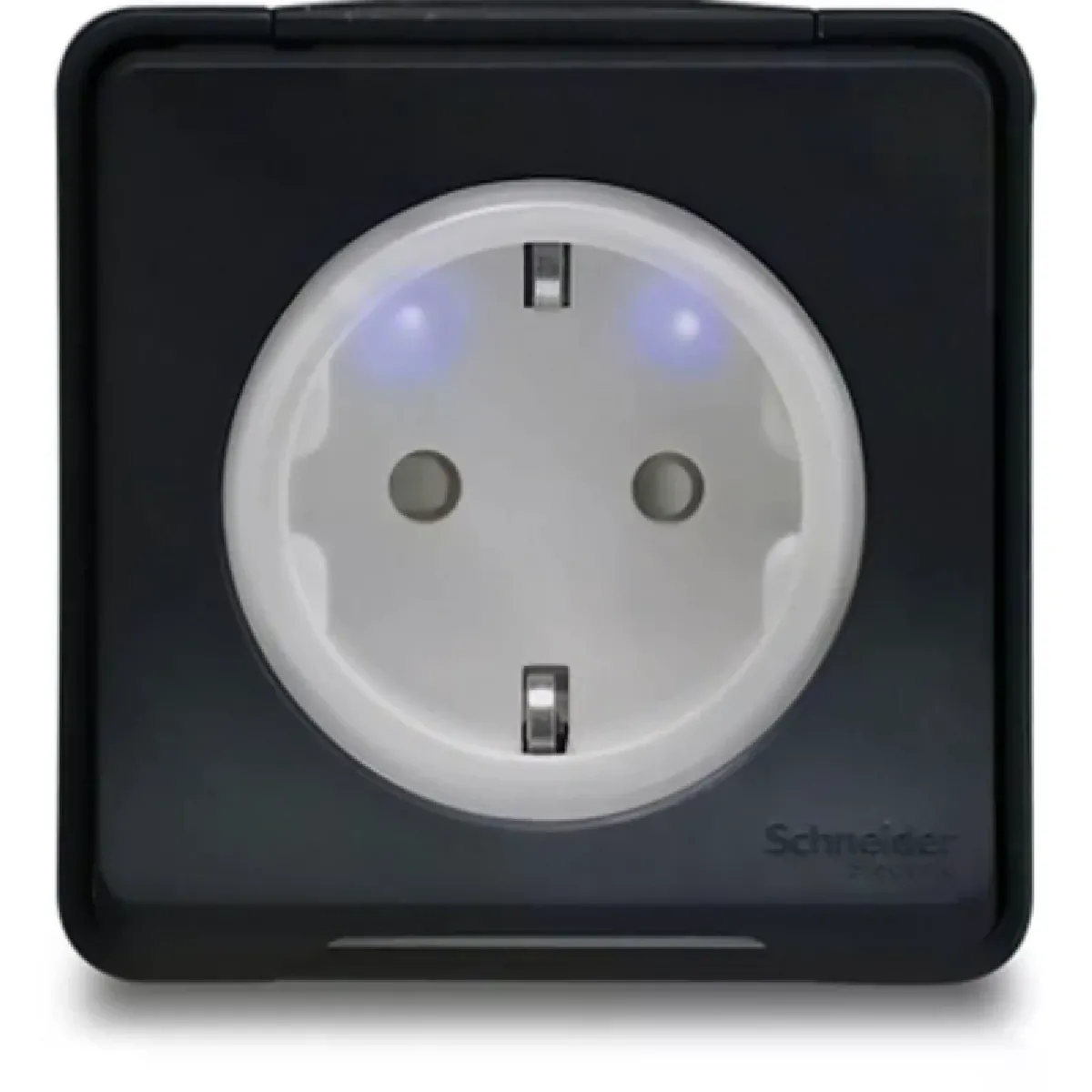 Schneider Electric Prise Mureva Styl - Gris