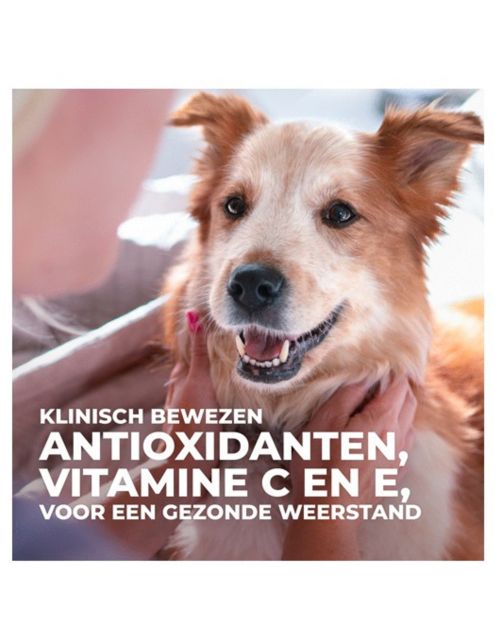 Hill's Canine Adult Light Large Breed Kip - Hondenvoer