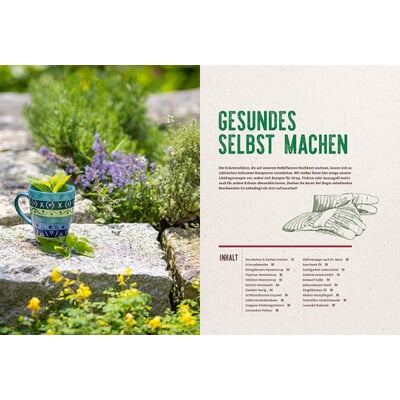 Mein Heilpflanzen-Hochbeet