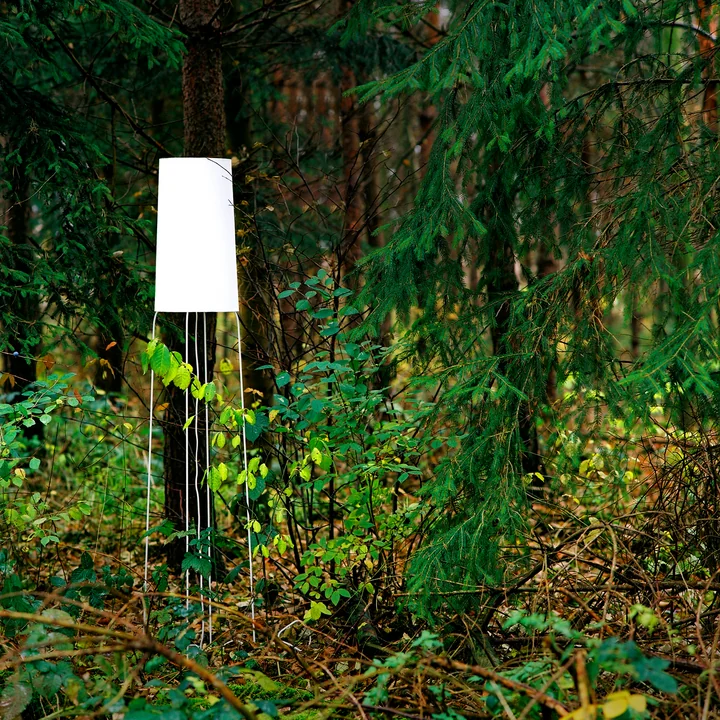 frauMaier - Slimsophie Stehleuchte, Switch to Dim LED, orange