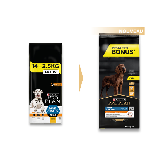 Croquettes chien adulte - 14 kg + 2,5 kg offerts