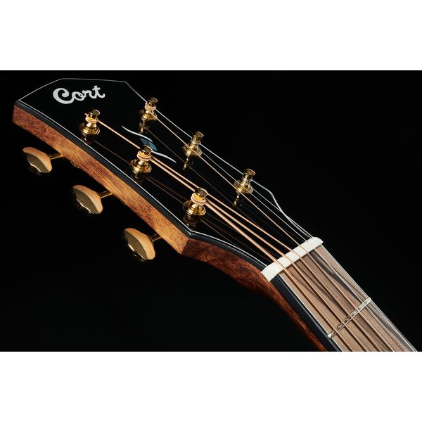 Cort Gold A6