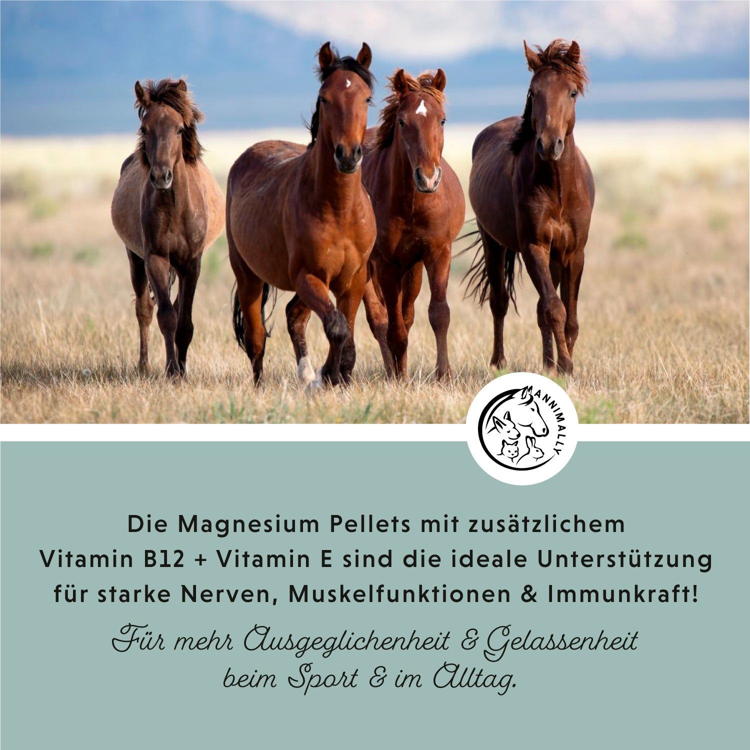 Annimally Magnesium Pellets