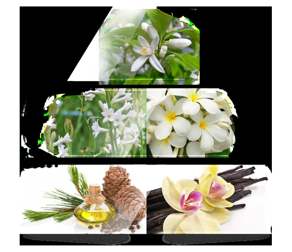 LA RIVE Her Choice Eau de Parfum