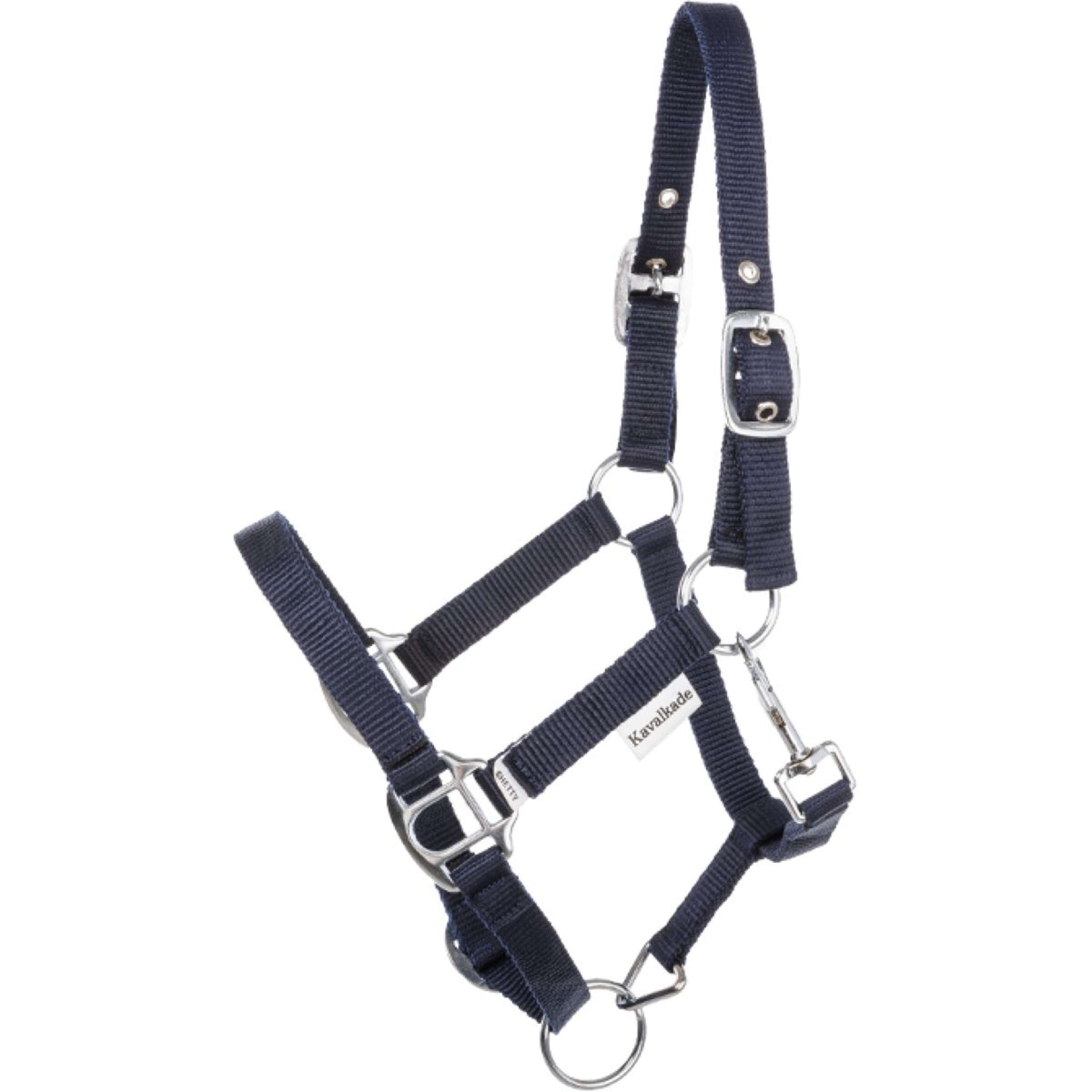 Kavalkade Halster Shorty Navy