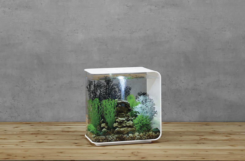 BiOrb Flow 30 LED Wit | aquarium met led en filter