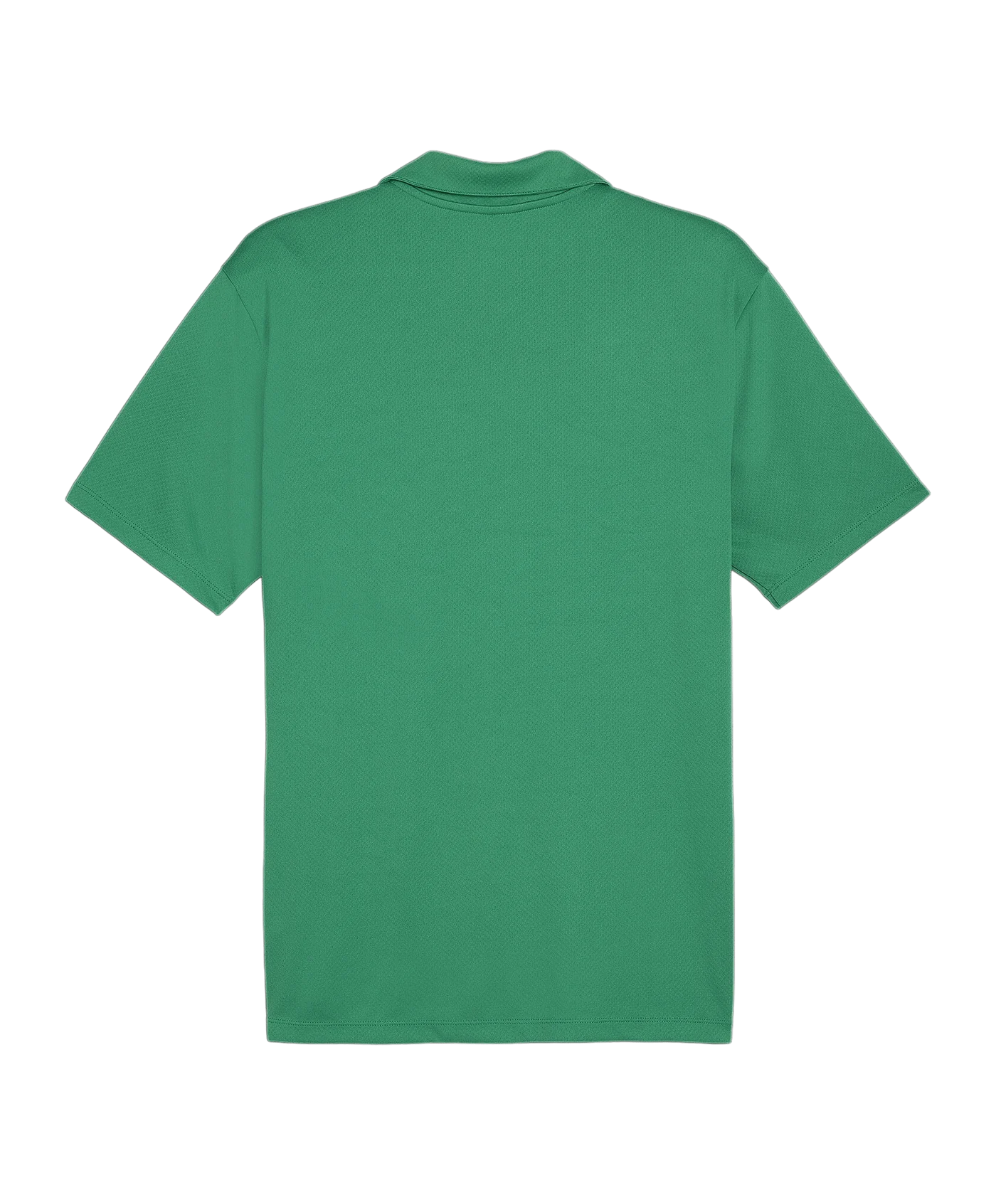 PUMA teamGOAL Poloshirt Grün F05