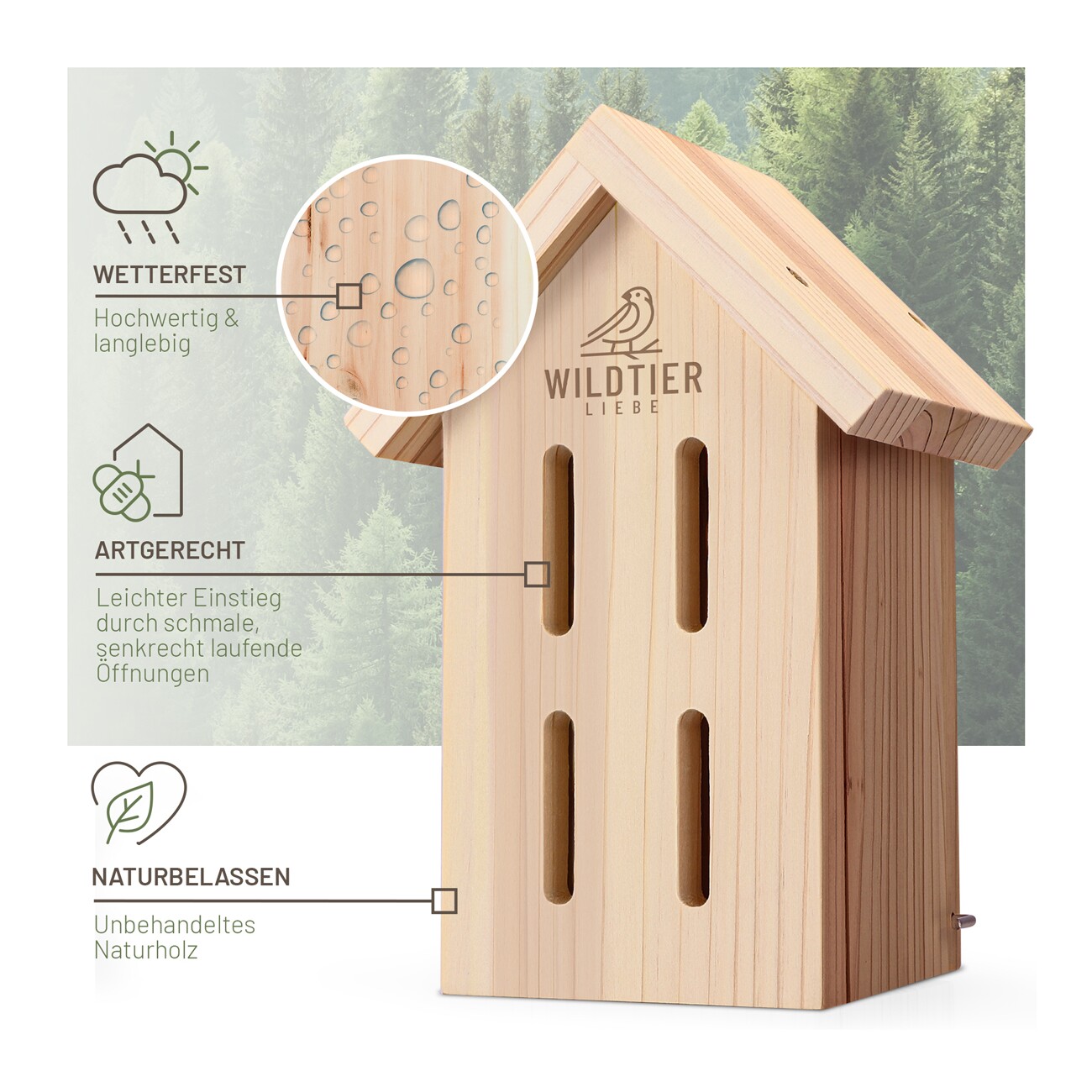 wildtier liebe Schmetterlingshaus