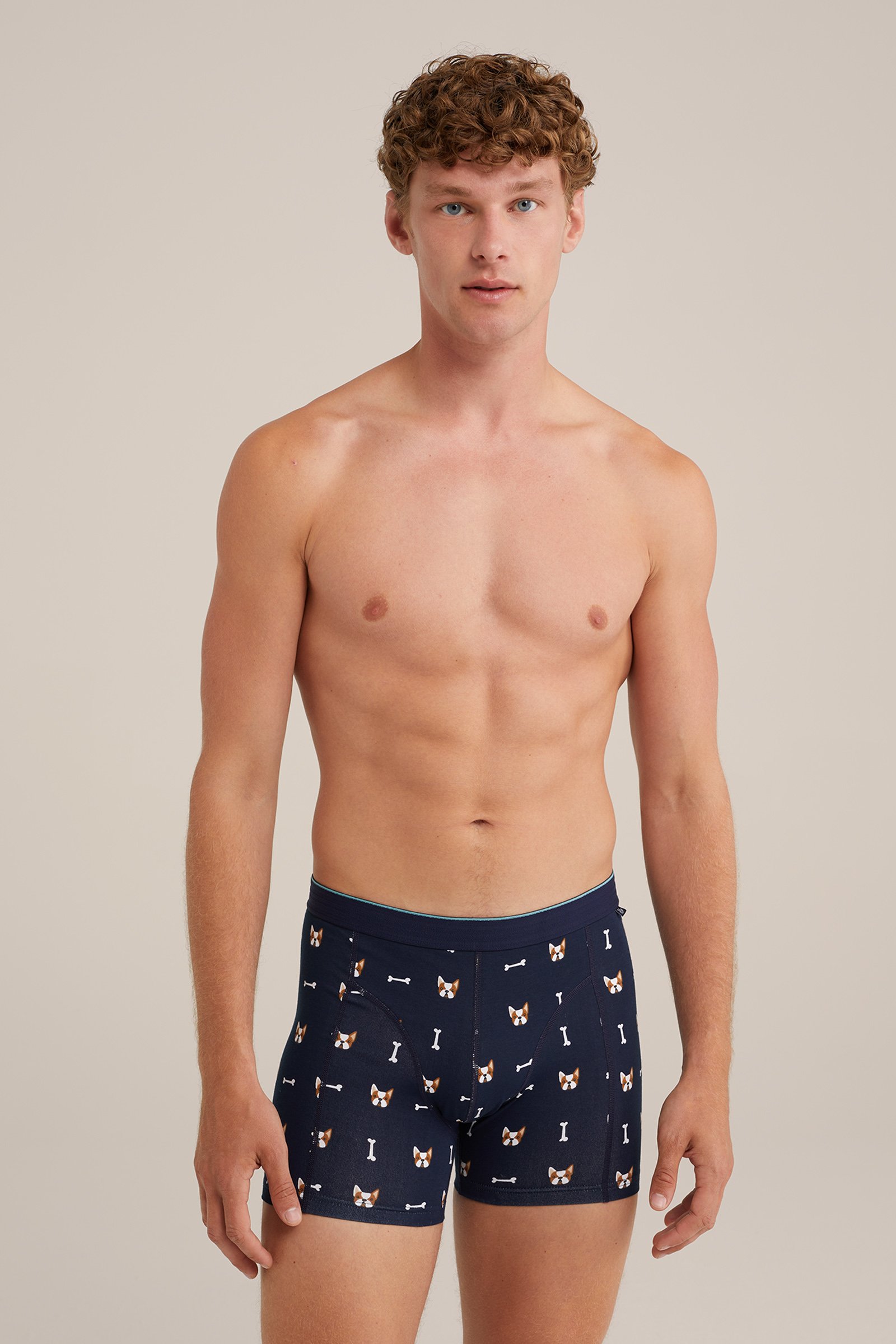boxershort met dessin, 3-pack WE Fashion Multikleur