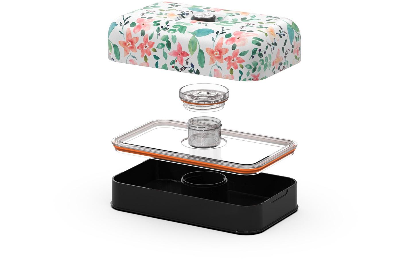 Lunchbox Little BudsLunchbox mit Dressing Schale