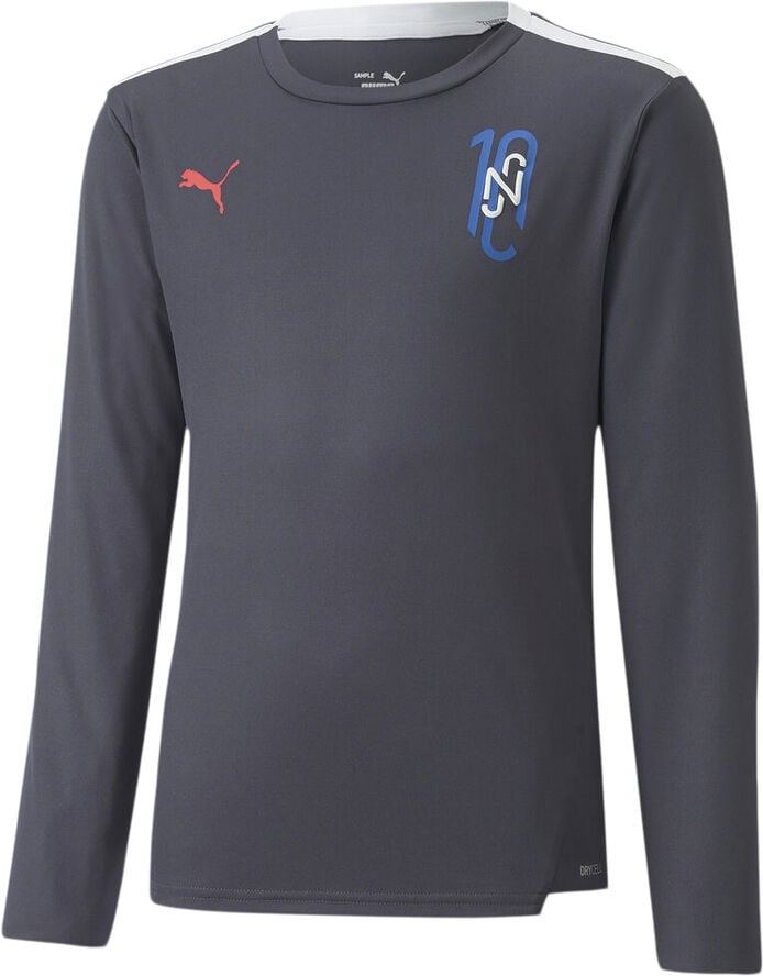 Puma Neymar Jr Futebol fodboldtrøje Grå