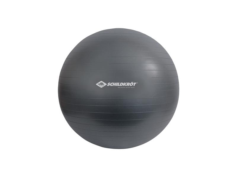 Schildkröt Fitness Gymnastikball 75 cm Schildkröt Fitness Gymnastikball