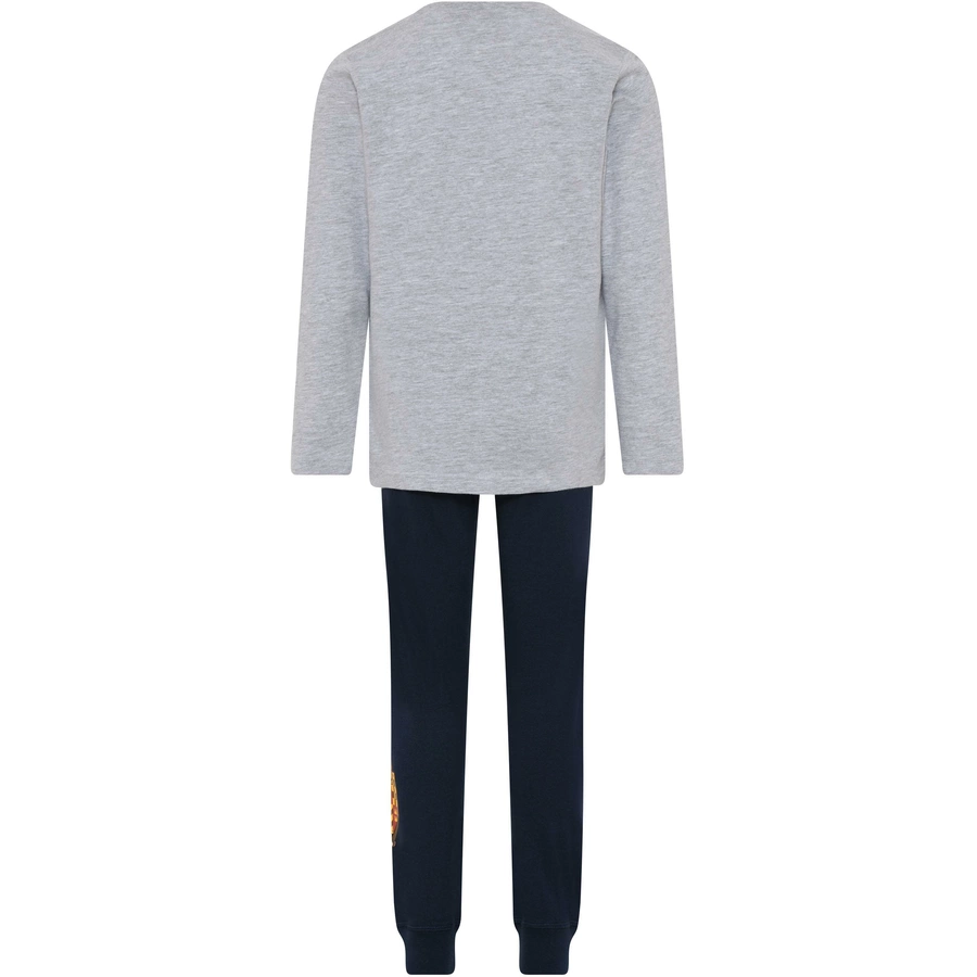 LEGO® WEAR Schlafanzug LWALEX 720 grey melange