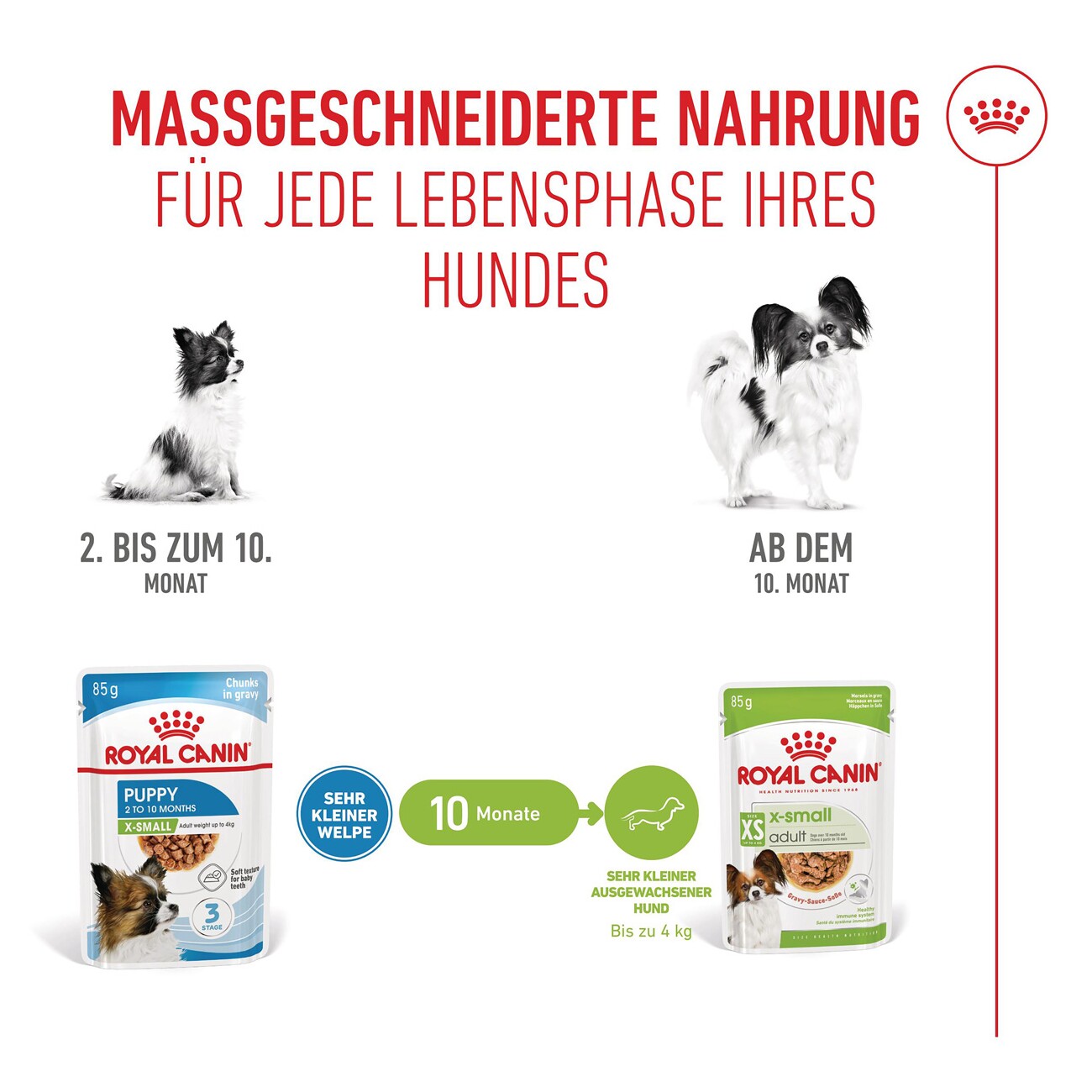 ROYAL CANIN X-Small Puppy in Sauce 12x85 g
