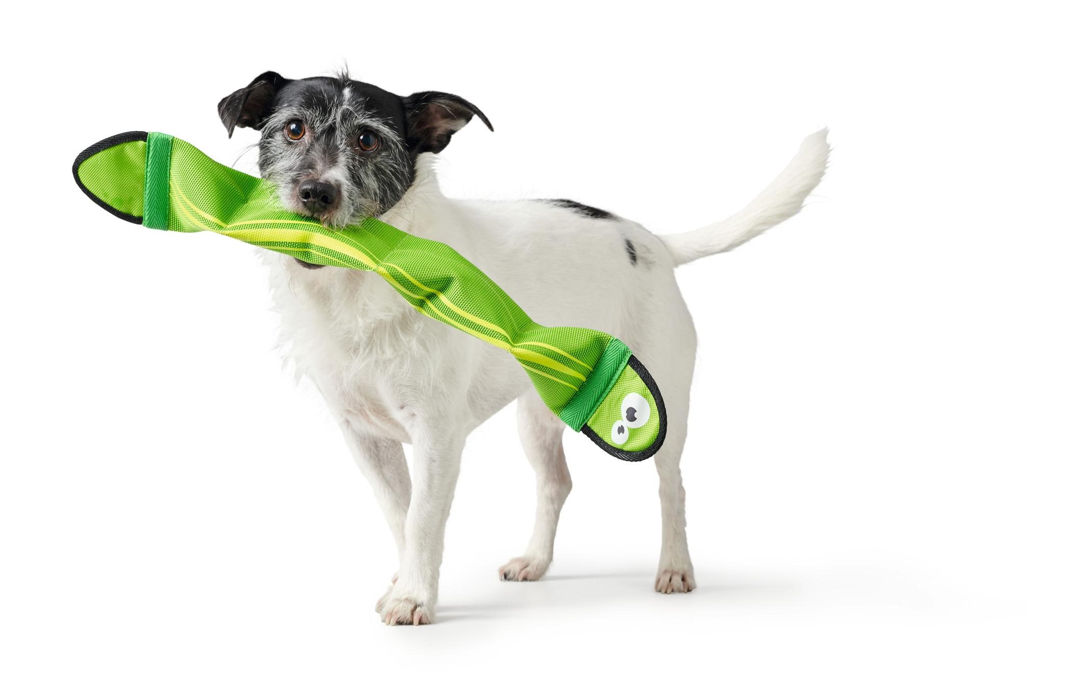 Hunde-Spielzeug Aqua Mindelo, Grün, 52 cmHundespielzeug