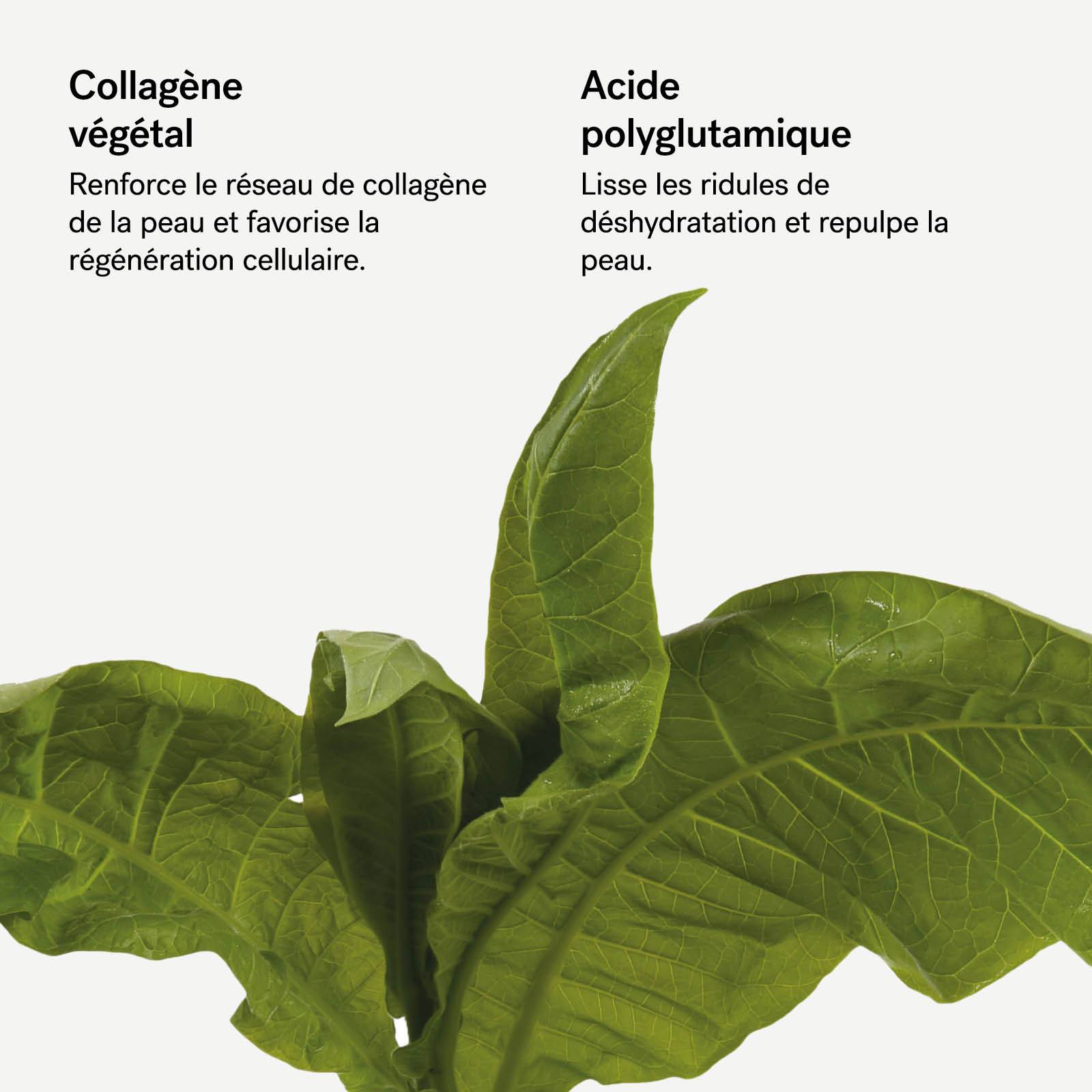 L74 - Coffret masque contour des yeux lissant<br>Collagène végétal 1% + Acide polyglutamique