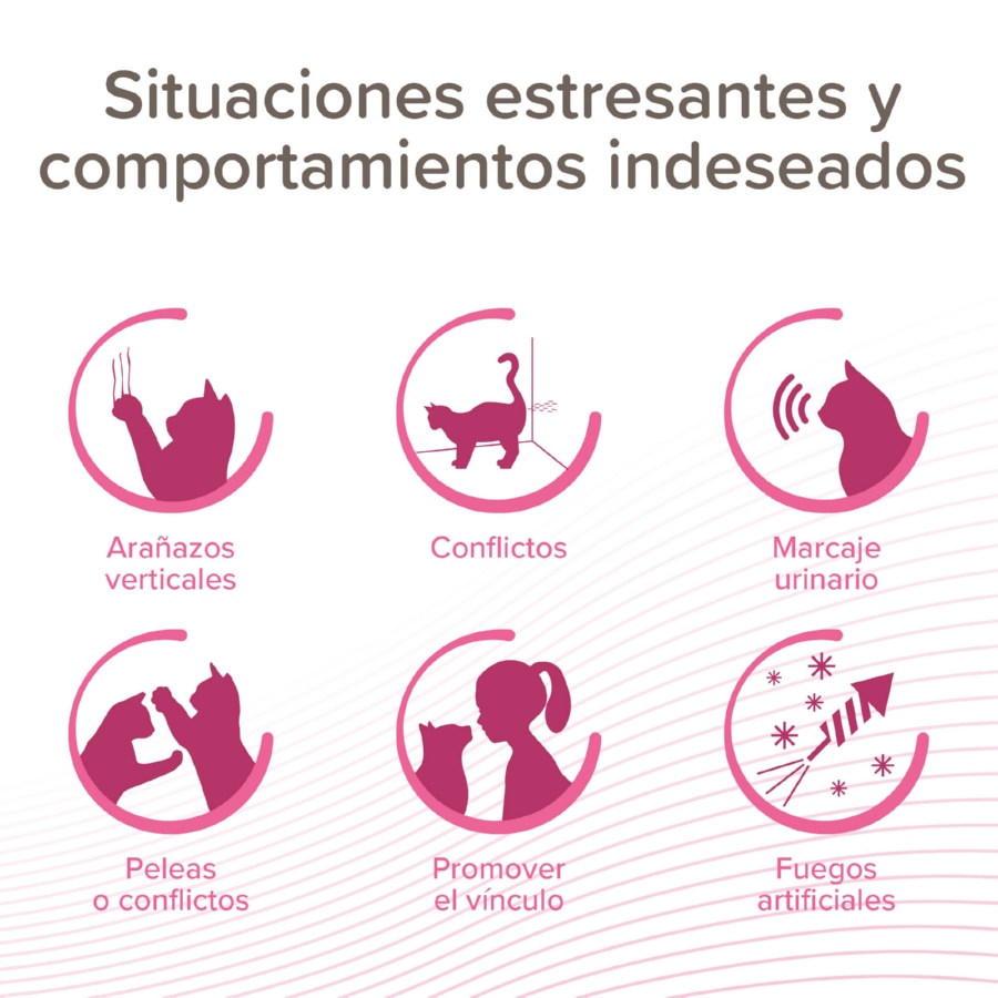 Difusor de feromônios Beaphar CatComfort Excellence para gatos