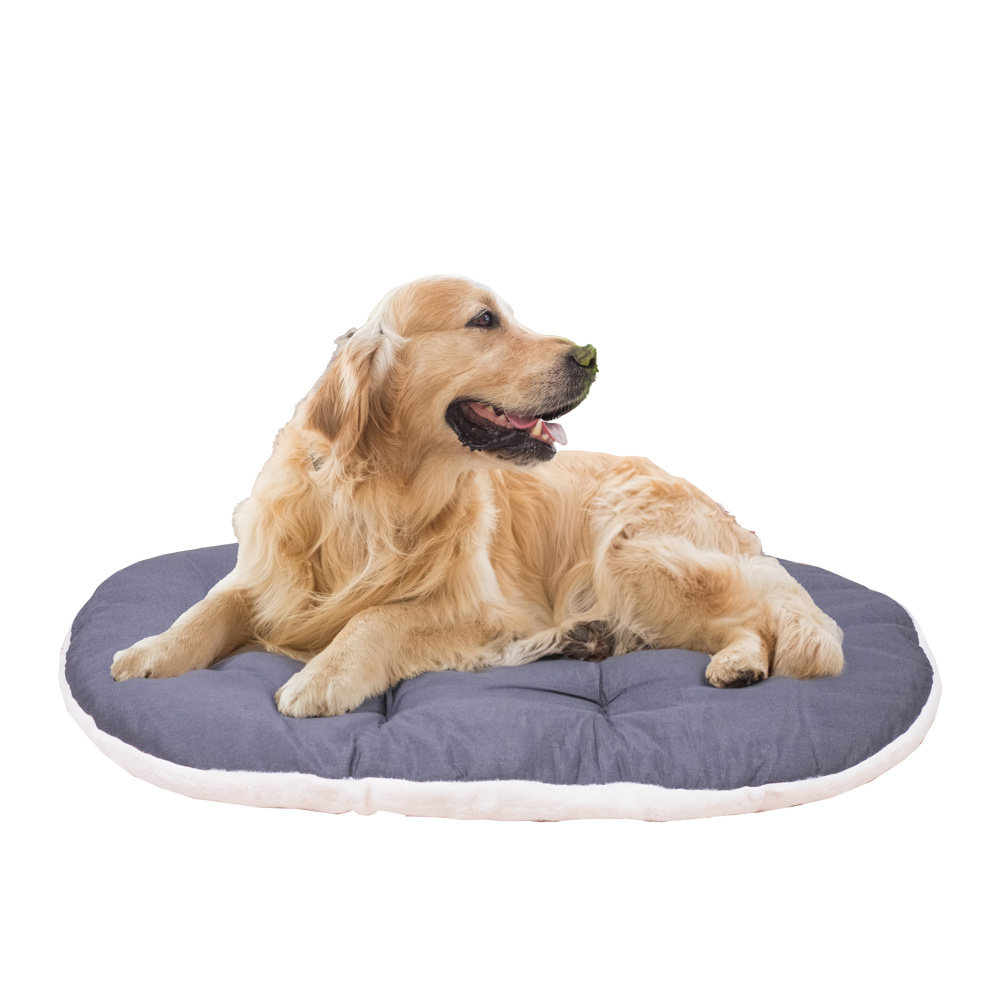 Ferplast coussin chien relax 100/12, lit pour chiens, animaux domestiques, coussin chien grande taille, matelas, coussin rembourré
