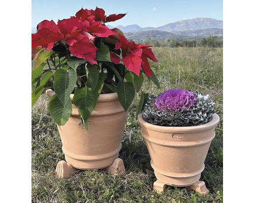 Plantenbak/bloempot, terracotta, 35 x 35 x 30 cm, bruin
