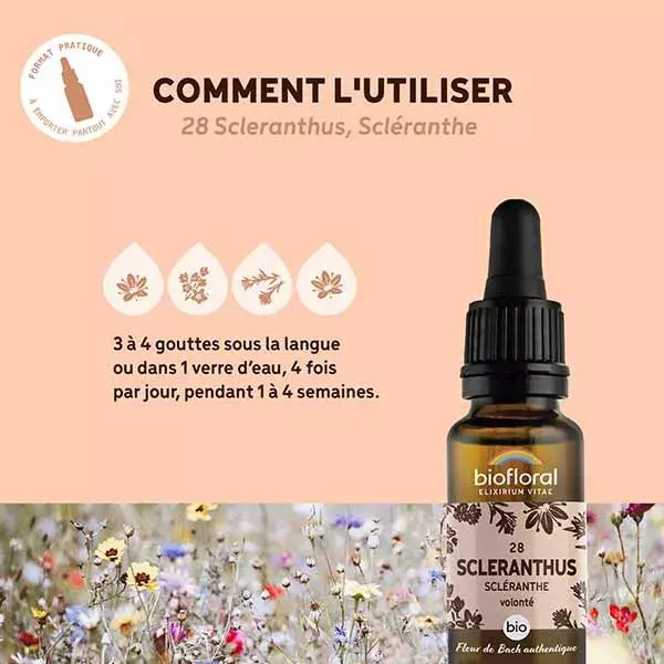 Óleo Esclerônico Orgânico Biofloral Bach Flower Remedy 28 Scleranthus Scleranthe em gotas, 20 ml