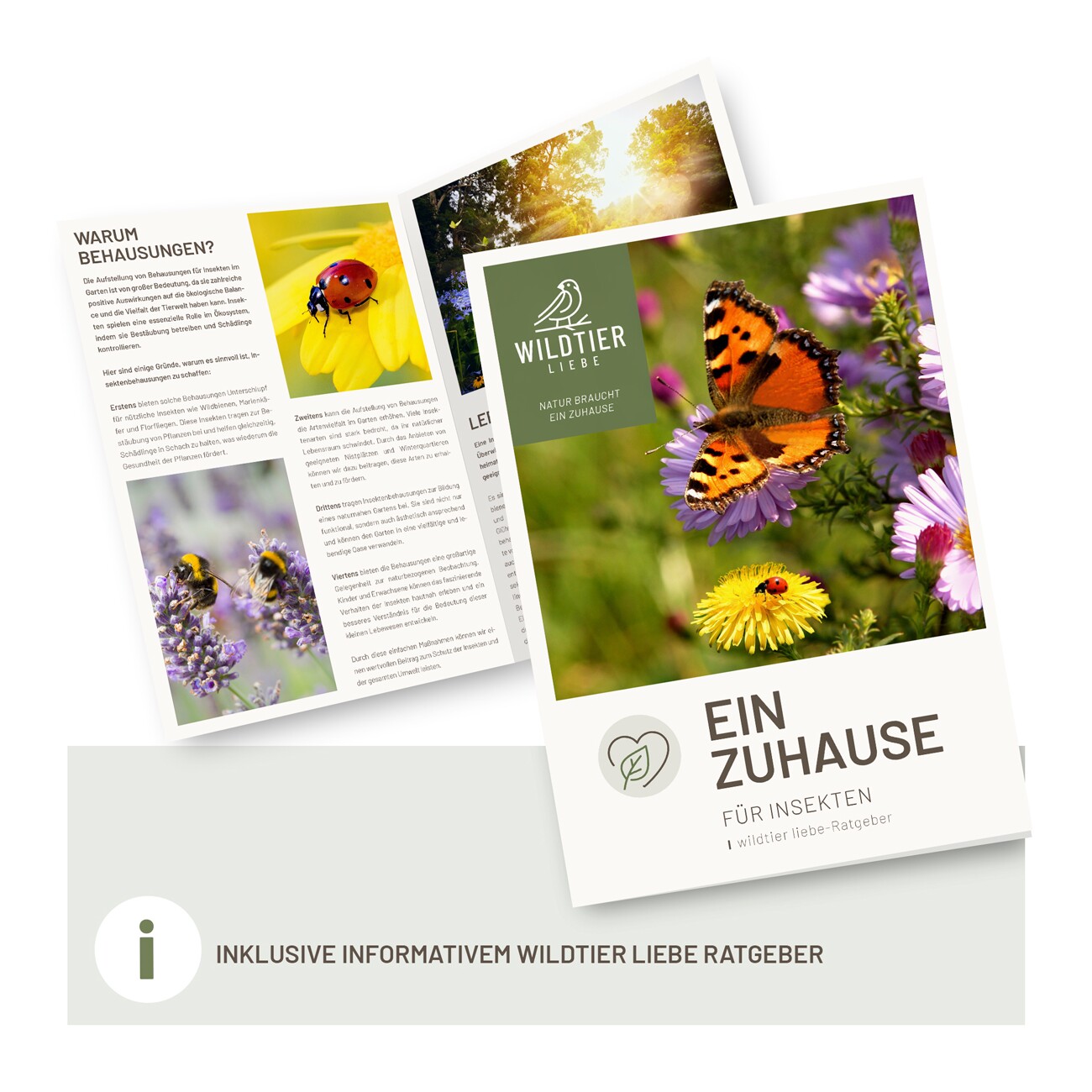 wildtier liebe Schmetterlingshaus