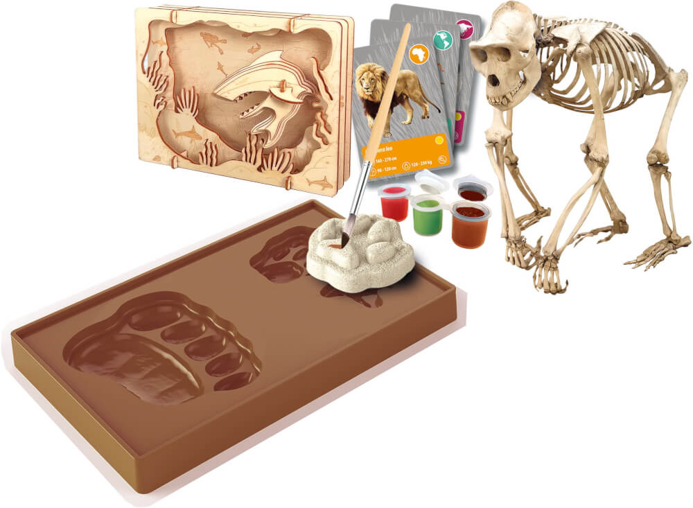 Entdeckungs-Set „Tiere auf unserer Erde