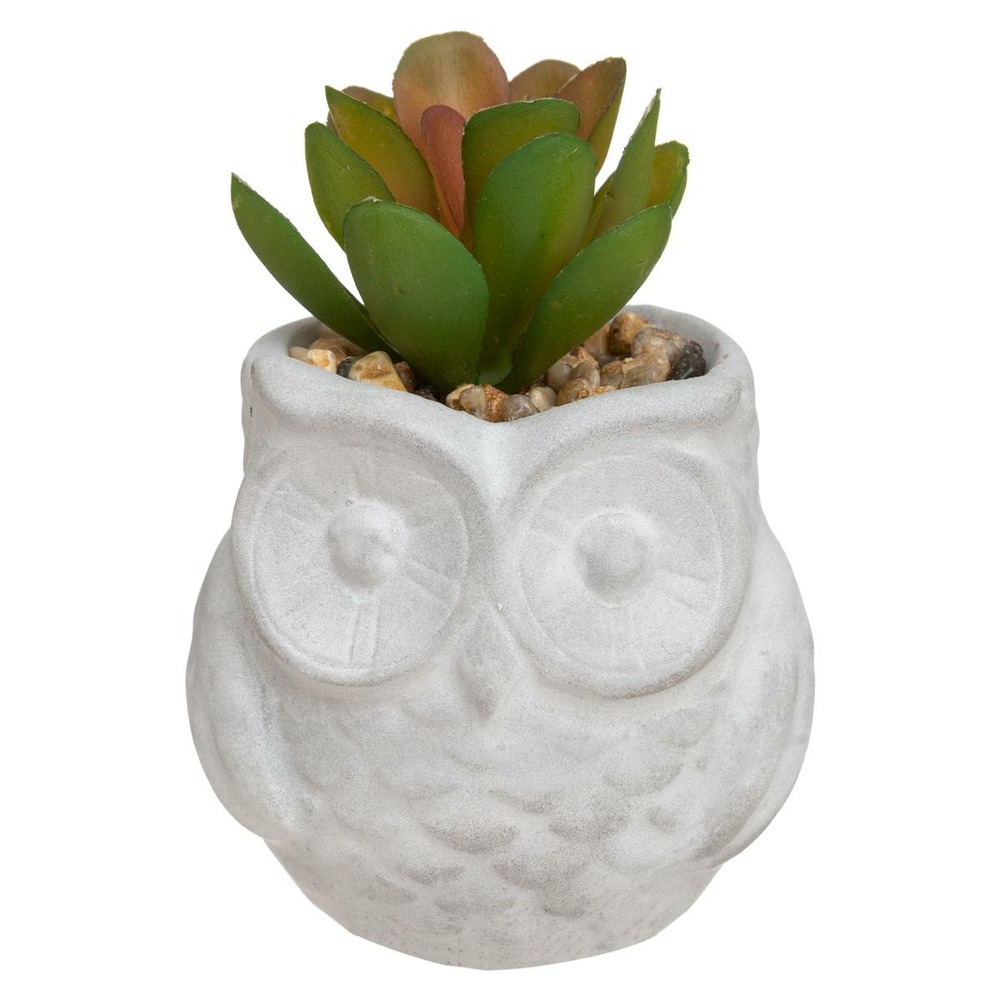 Plante artificielle succulente dans pot forme hibou h 8 cm