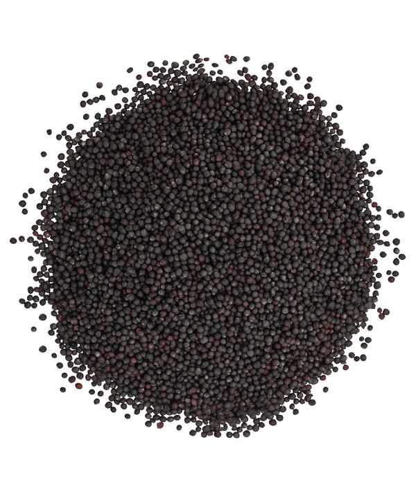 Dehner Lieblinge Rübsen, 1 kg
