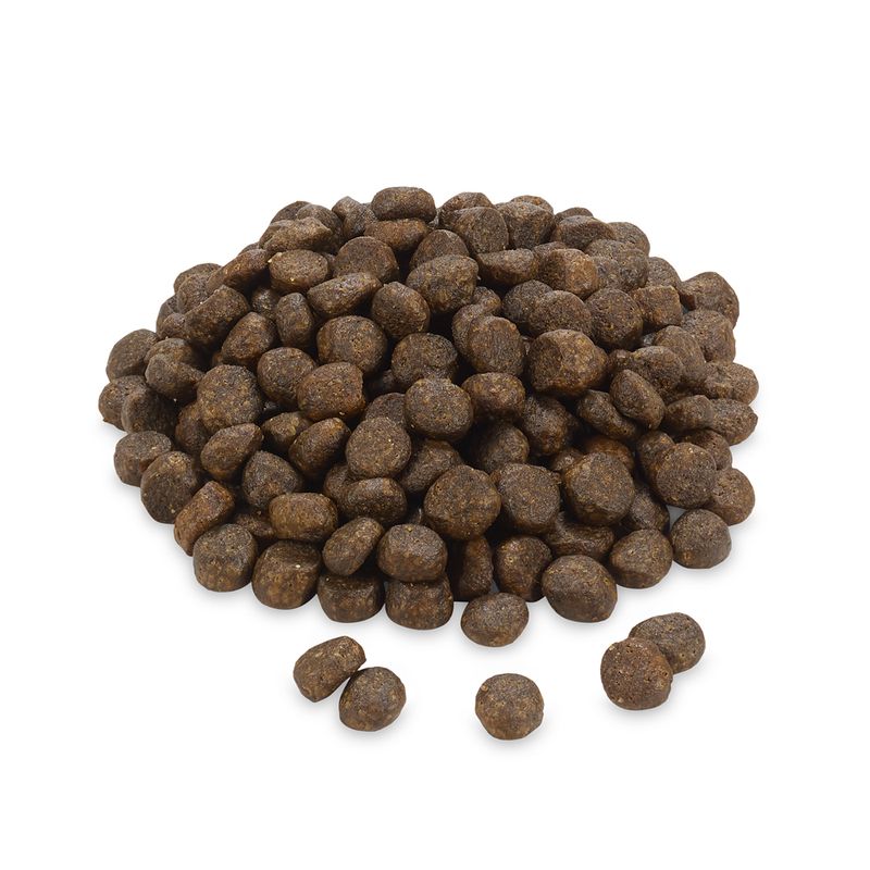 Greenwoods saumon, pommes de terre, épinards, canneberges pour chat