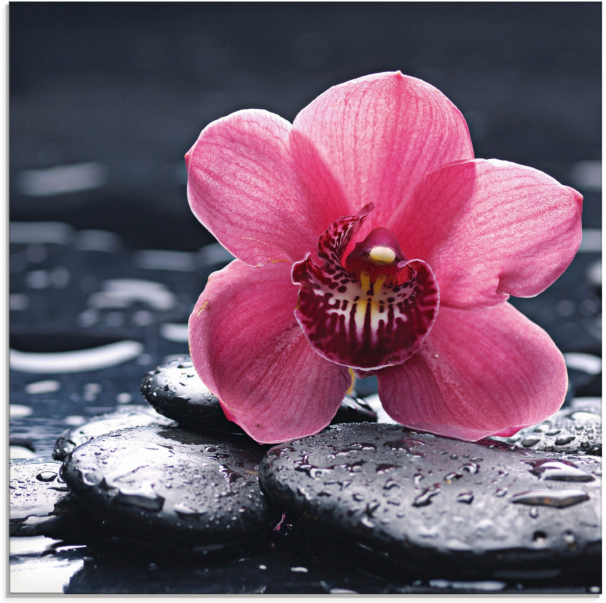 Artland Glasbild »Stillleben mit Kiesel und einer Orchidee« Blumen 1 Stk. tlg. in verschiedenen Grössen