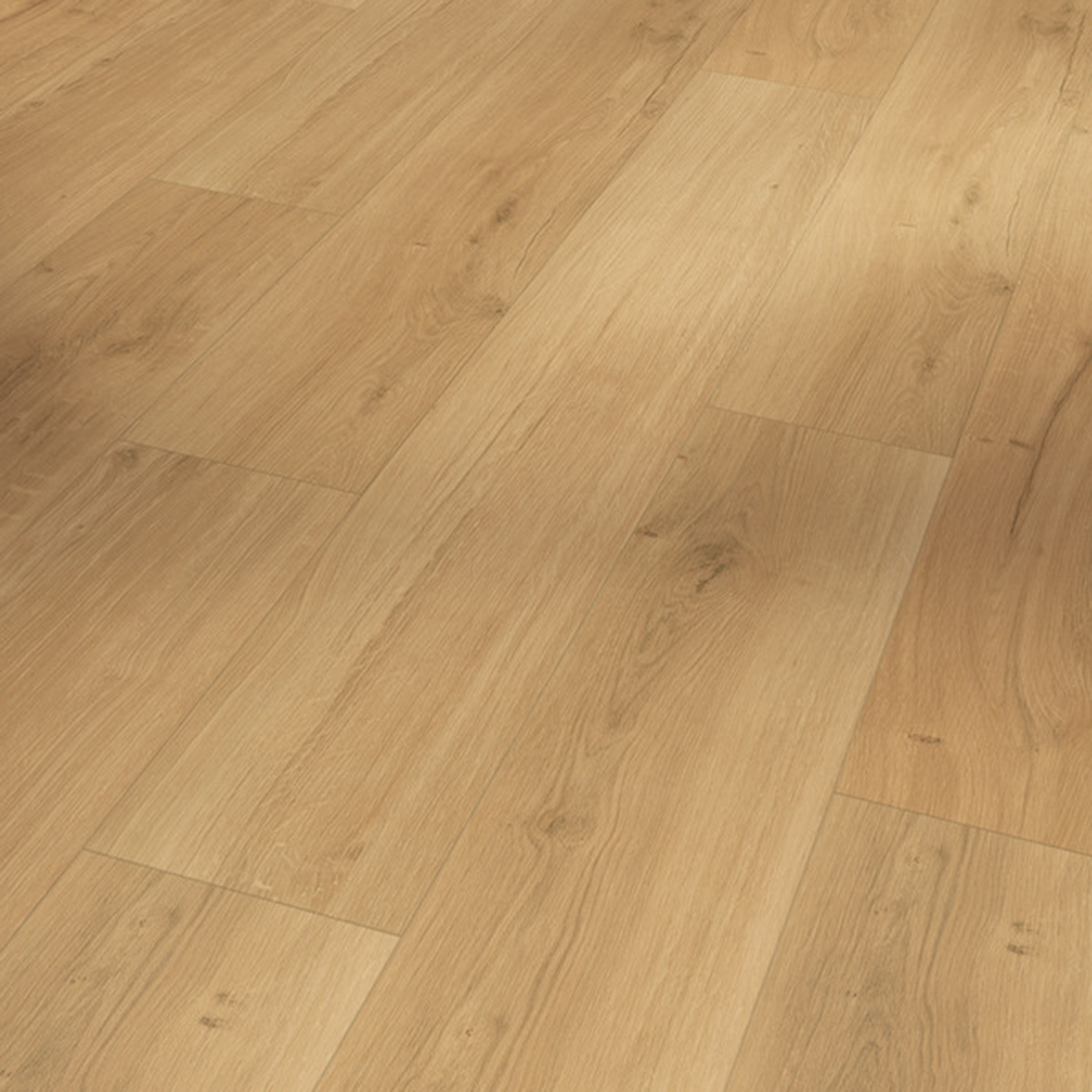 PARADOR Designboden MODULAR ONE - Eiche Spirit natur - 8 mm