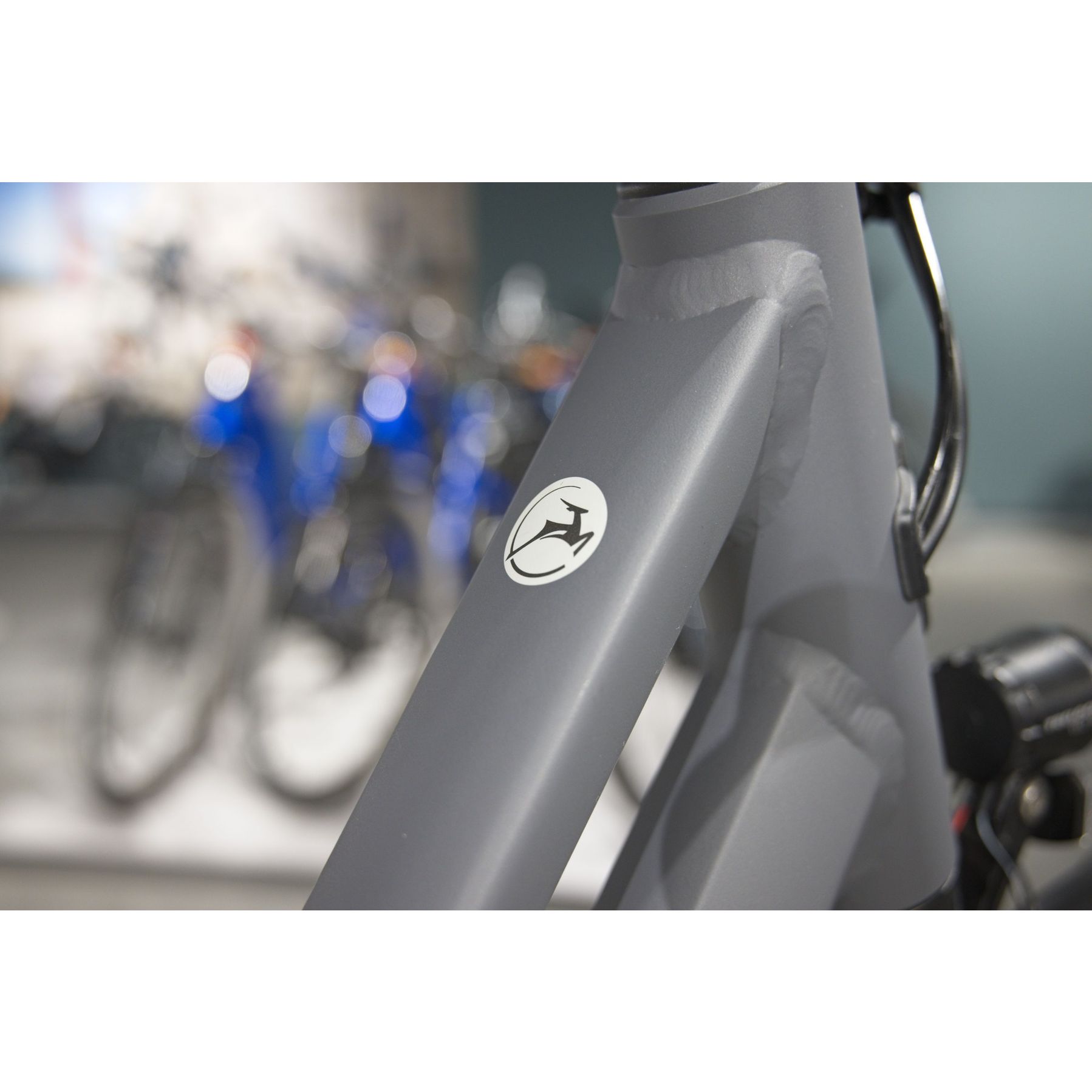 Gazelle Chamonix S11 2026