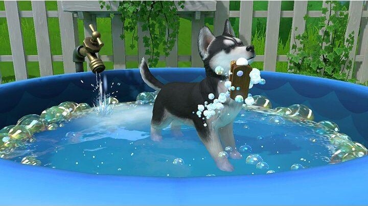Little Friends: Puppy Island - Nintendo Switch
