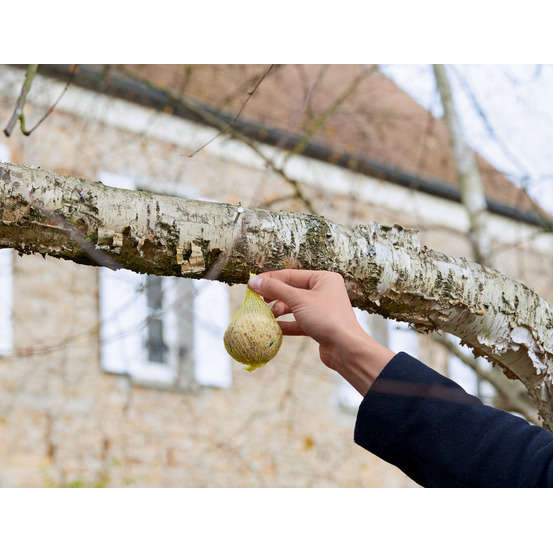 Boules de graisse pour oiseaux du jardin - Lot de 60 - 5,4 kg