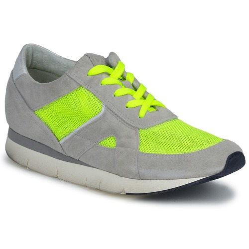 OXS - GEORDIE - Gris / Jaune