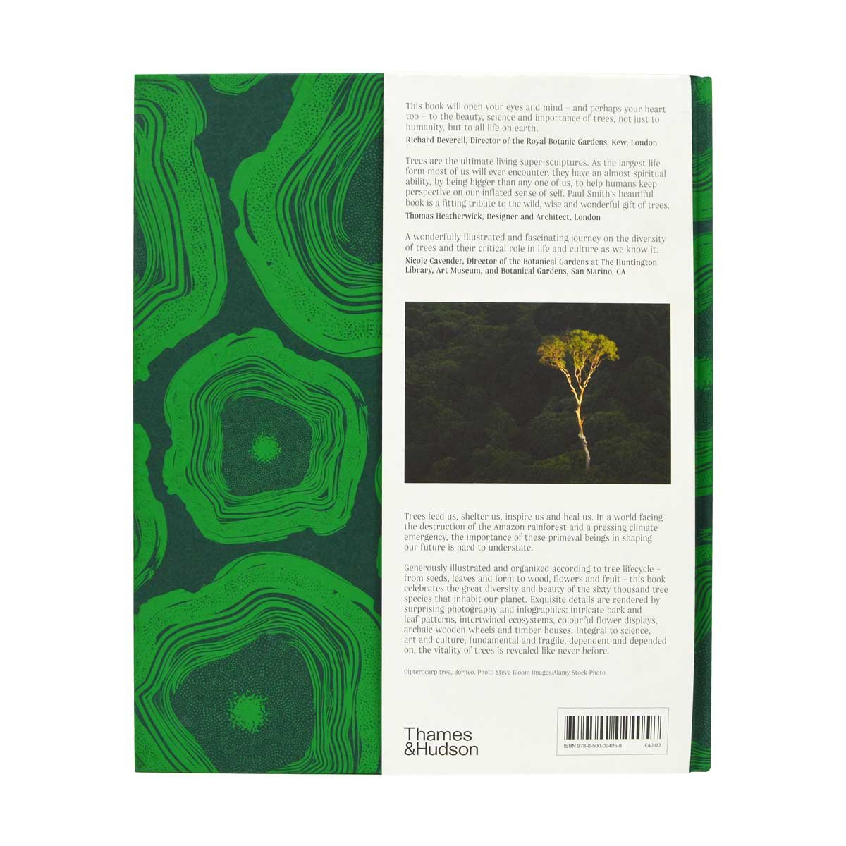 Trees: From Root to Leaf - A Financial Times Book of the Year (Hardback)