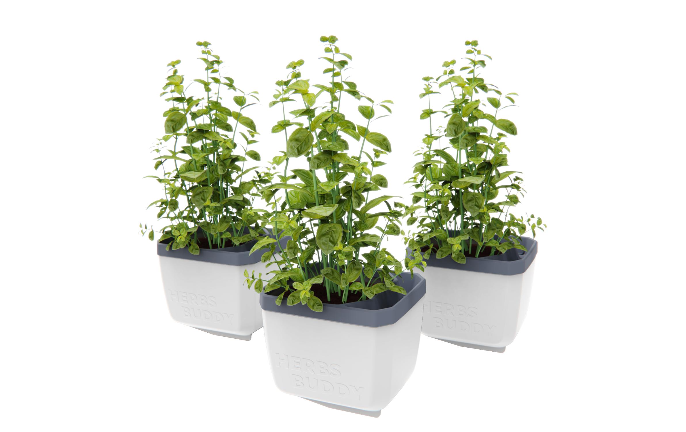 HERBS BUDDY Kräutertopf 3er Set WeissKräutertopf mit Wasserreservoir und Kippfunktion